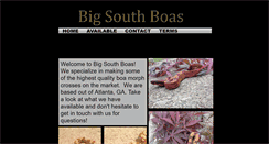 Desktop Screenshot of bigsouthboas.webstarts.com