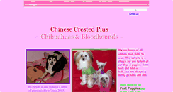Desktop Screenshot of chinesecrestedplus.webstarts.com