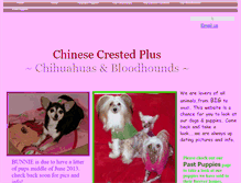 Tablet Screenshot of chinesecrestedplus.webstarts.com