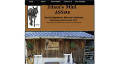 Desktop Screenshot of ethansminiassets.webstarts.com