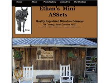 Tablet Screenshot of ethansminiassets.webstarts.com