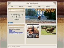 Tablet Screenshot of boxturtlefarm.webstarts.com