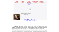 Desktop Screenshot of bouncingballaussies.webstarts.com