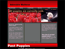 Tablet Screenshot of adorablemaltesepuppies.webstarts.com