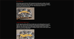 Desktop Screenshot of geckonationantwerp-projects.webstarts.com