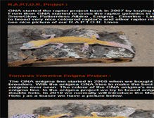 Tablet Screenshot of geckonationantwerp-projects.webstarts.com