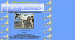 Desktop Screenshot of cssreferral.webstarts.com