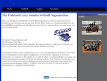 Tablet Screenshot of ladybanditsorganization.webstarts.com