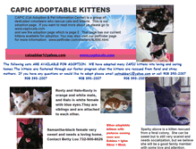 Tablet Screenshot of capicadoptions.webstarts.com