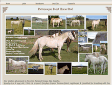 Tablet Screenshot of picturesquepaints.webstarts.com