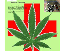Tablet Screenshot of medcannabishelp.webstarts.com