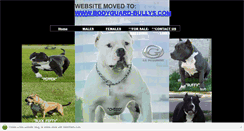 Desktop Screenshot of bodyguardbullys.webstarts.com