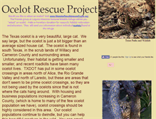 Tablet Screenshot of ocelotrescue.webstarts.com