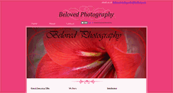 Desktop Screenshot of beloved-photography.webstarts.com