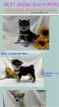 Mobile Screenshot of bestshibainupuppies.webstarts.com