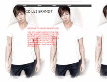 Tablet Screenshot of davidleibrandt.webstarts.com